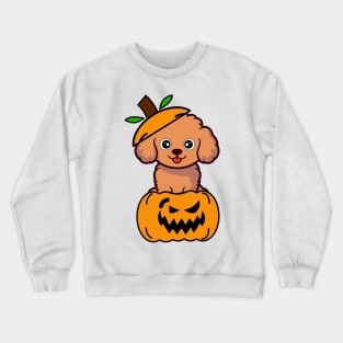 Cute Brown Dog is in a pumpkin Crewneck Sweatshirt